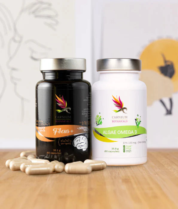 Paket Otkrijte potencijal svog mozga